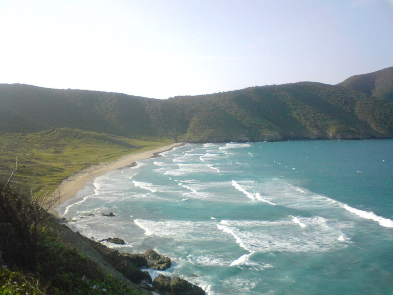 Un Tesoro Natural por Descubrir: Lo que Encontrarás en el Parque Tayrona